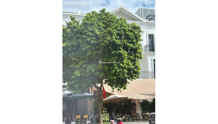 Shophouse vừa ở vừa kinh doanh rẻ nhất Vinhomes Ocean Park 1, Hà Nội. MTG