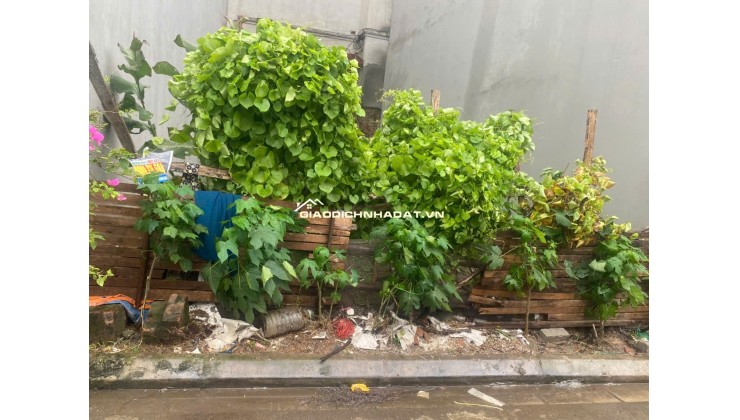 CẦN BÁN MẢNH ĐẤT ĐẸP TẠI HẢI BỐI, ĐÔNG ANH, HÀ NỘI