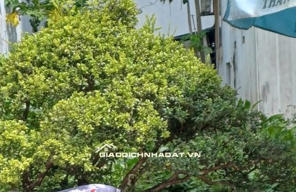 Chính chủ Bán đất mặt tiền khu Thanh Niên, Diện tích 118 m2 Giá chỉ hơn 2 tỷ.