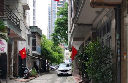 Kim Ngưu phân lô ô tô đỗ cửa vào nhà, cách 1 nhà ra mặt phố, phù hợp xây toà văn phòng dịch vụ