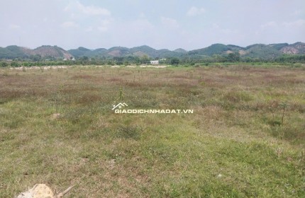 CHÍNH CHỦ BÁN ĐẤT CLN TẠI XÃ ĐẠ KHO, HUYỆN  ĐẠ TẺH, LÂM ĐỒNG