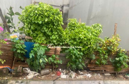 CẦN BÁN MẢNH ĐẤT ĐẸP TẠI HẢI BỐI, ĐÔNG ANH, HÀ NỘI