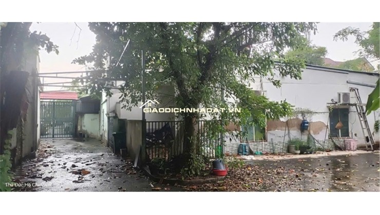 Bán nhà vườn 701m2 vuông vức siêu đẹp ở KDC Hiệp Bình Chánh Thủ Đức