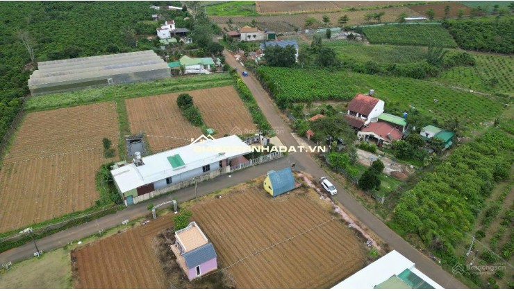 BÁN LÔ ĐẤT PHƯỜNG 2 BẢO LỘC GẦN NGÃ NĂM ĐAMBRI (NHÁNH KHÚC THỪA DỤ)