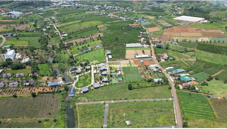 BÁN LÔ ĐẤT PHƯỜNG 2 BẢO LỘC GẦN NGÃ NĂM ĐAMBRI (NHÁNH KHÚC THỪA DỤ)