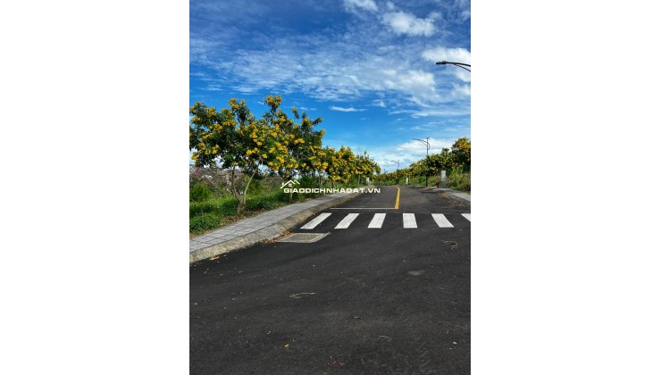 Đánh thức giấc mơ sống xanh – Lô đất biệt thự sinh thái Bảo Lộc giá chỉ hơn 1,5 tỷ!