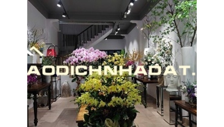 Cho thuê nhà văn phòng, cửa hàng, online, nhà mặt phố 101B Nguyễn Khuyến, Phường Văn miếu-Quốc tử Giám, Đống Đa cũ, Hà Nội
