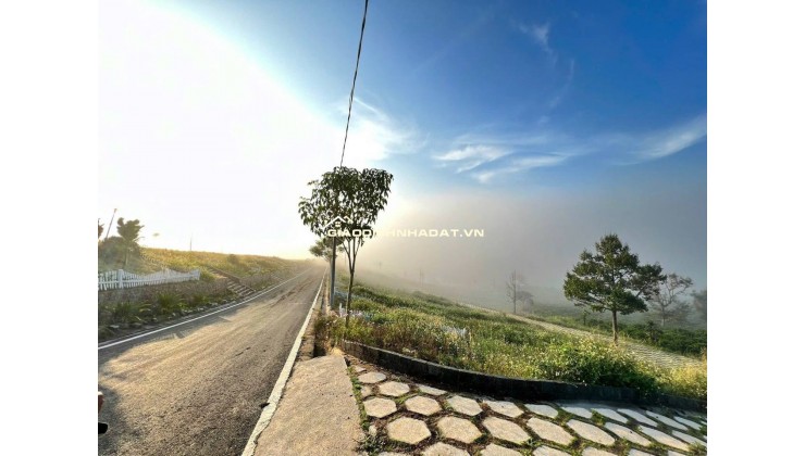 [HOT] Duy nhất còn 1 lô tại NaLi Chill - Homestay and BBQ giá bán chỉ 850TR