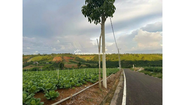 [HOT] Duy nhất còn 1 lô tại NaLi Chill - Homestay and BBQ giá bán chỉ 850TR