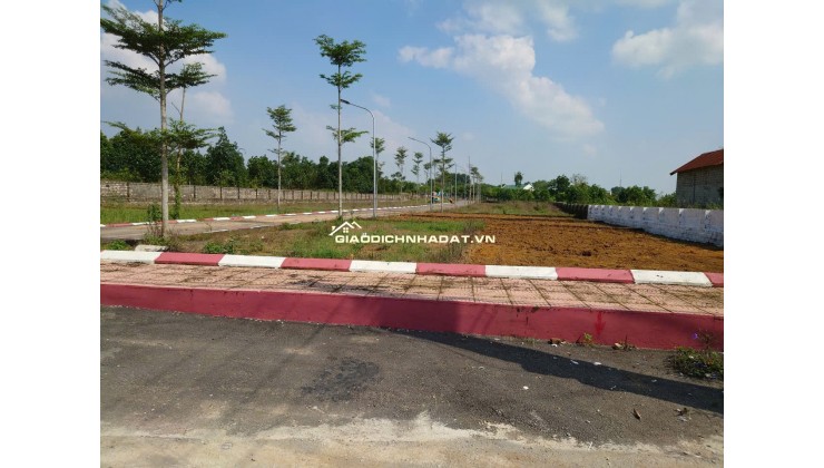 Chính chủ bán đất tại La gián, Cổ đông, sơn tây 100m2 MT 5.50m giá FO cho nhà đầu tư.