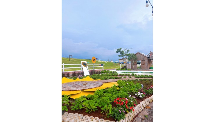 Sun valley Bảo Lộc, CDT mở bán thời điểm mới Q4/2025