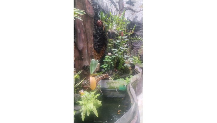 BÁN NHÀ MẶT TIỀN VIEW SÔNG KDC TÂN PHONG QUẬN 7 – SIÊU PHẨM KINH DOANH, 5 TẦNG ĐÚC BTCT