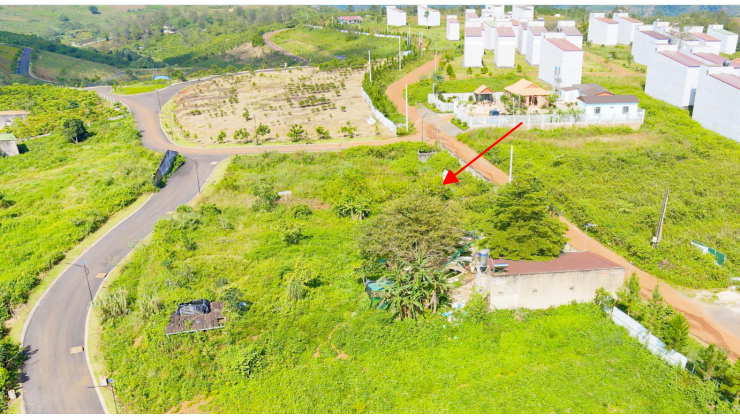 Vị trí vàng, tâm điểm kết nối tinh hoa - 2 lô đất nền view đồi biệt thự mặt tiền đường Lý Thái Tổ (28m) nối dài – Gần cao tốc Dầu Giây – Liên Khương