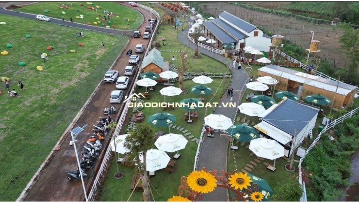 BÁN ĐẤT ĐẸP SUN VALLEY – TRUNG TÂM TP. BẢO LỘC – SỔ ĐỎ RIÊNG