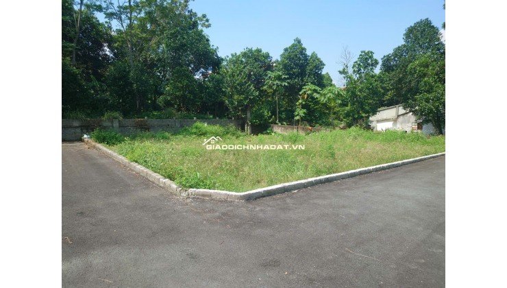 Bán gấp đất tại Xuân Khanh, Sơn tây 110m2 MT 7m, giá rẻ mua ngay có lãi liền tay.