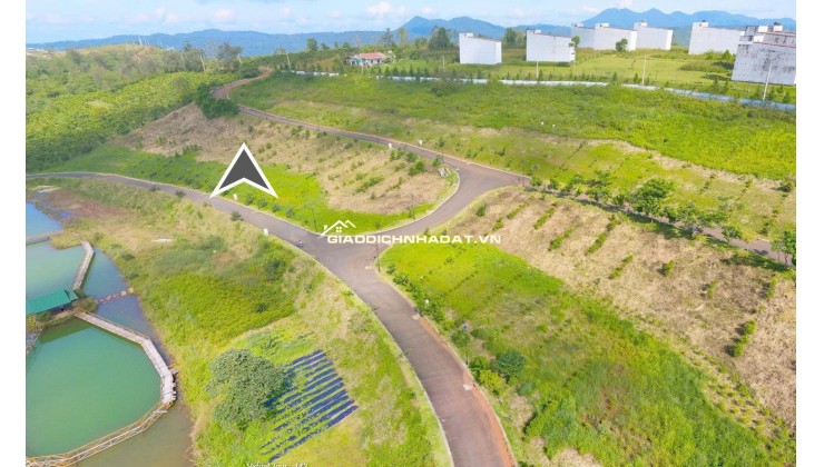 Sở hữu ngay đất biệt thự đồi Bảo Lộc 128,4m² chỉ 1,2 tỷ – View hồ, khí hậu mát lành, sổ riêng từng nền