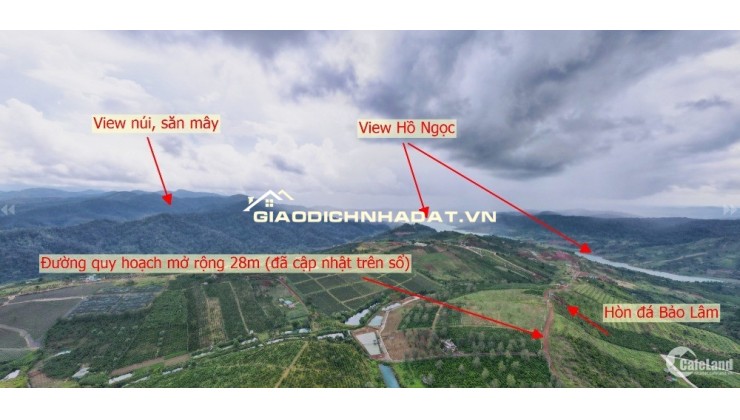 Đất nền nghỉ dưỡng gần Đồi Chè Tâm Châu – Bảo Lộc – giá tốt nhất khu vực chỉ 6  triệu/m²