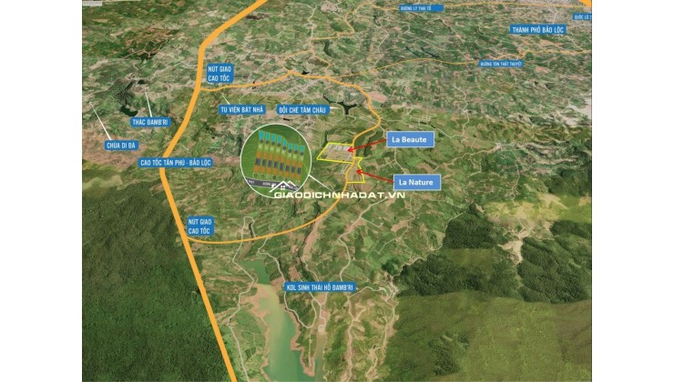 Đất nền nghỉ dưỡng gần Đồi Chè Tâm Châu – Bảo Lộc – giá tốt nhất khu vực chỉ 6  triệu/m²