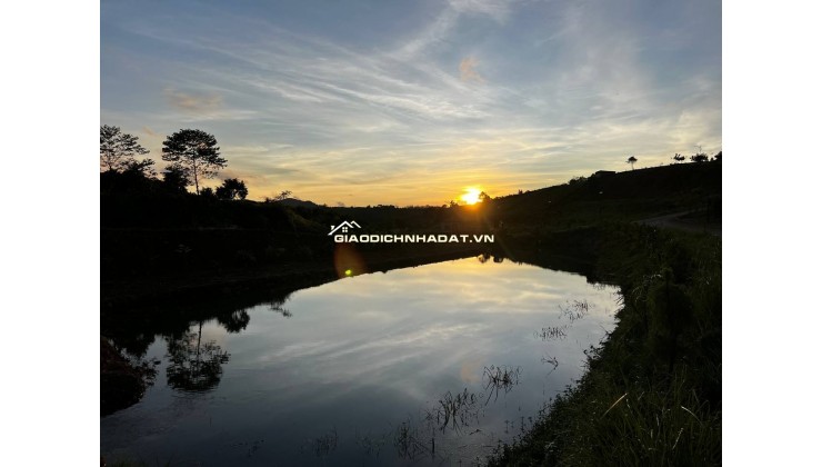 Vị trí vàng, tâm điểm kết nối tinh hoa - 2 lô đất nền view đồi biệt thự mặt tiền đường Lý Thái Tổ (28m) nối dài – Gần cao tốc Dầu Giây – Liên Khương