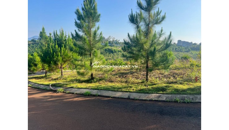 Sở hữu ngay đất biệt thự đồi Bảo Lộc 128,4m² chỉ 1,2 tỷ – View hồ, khí hậu mát lành, sổ riêng từng nền