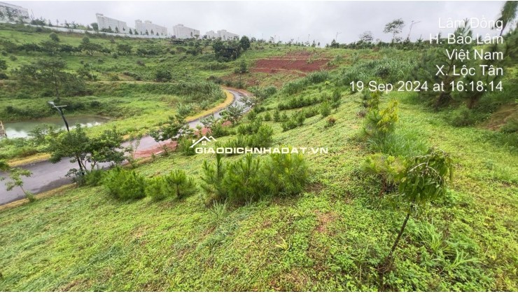 Sở hữu ngay đất biệt thự đồi Bảo Lộc 128,4m² chỉ 1,2 tỷ – View hồ, khí hậu mát lành, sổ riêng từng nền