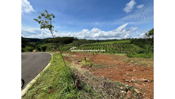 BÁN LÔ ĐẤT NỀN KHU NGHỈ DƯỠNG P2 BẢO LỘC, CÁCH NGÃ 5 ĐAMBRI  6 PHÚT ĐI XE