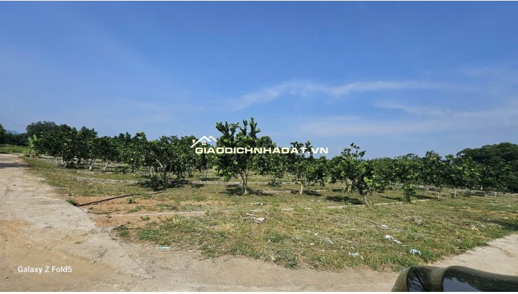 SỔ SẴN – GIÁ CHỈ 285 TRIỆU/LÔ, tại BẢO HIỆU – YÊN THỦY, HÒA BÌNH