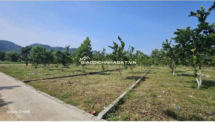 SỔ SẴN – GIÁ CHỈ 285 TRIỆU/LÔ, tại BẢO HIỆU – YÊN THỦY, HÒA BÌNH