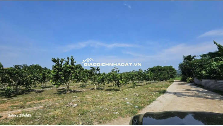 SỔ SẴN – GIÁ CHỈ 285 TRIỆU/LÔ, tại BẢO HIỆU – YÊN THỦY, HÒA BÌNH