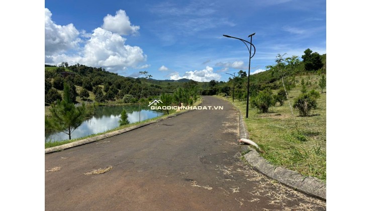 Vị trí vàng, tâm điểm kết nối tinh hoa - 2 lô đất nền view đồi biệt thự mặt tiền đường Lý Thái Tổ (28m) nối dài – Gần cao tốc Dầu Giây – Liên Khương