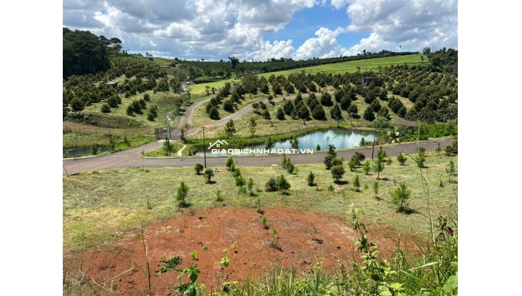 Vị trí vàng, tâm điểm kết nối tinh hoa - 2 lô đất nền view đồi biệt thự mặt tiền đường Lý Thái Tổ (28m) nối dài – Gần cao tốc Dầu Giây – Liên Khương