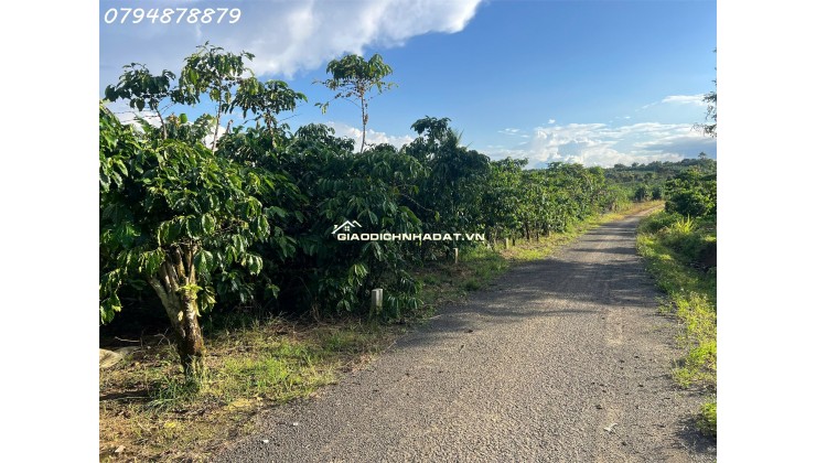  CẦN BÁN ĐẤT LỘC ĐỨC