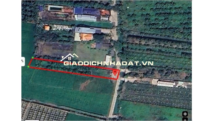 Chính chủ bán đất 1030m2 giá 7,2 tỷ, tp. Tân An, Long An