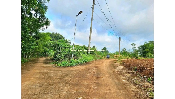 SIÊU RẺ – BÁN LÔ ĐẤT SÀO GIÁ CHỈ 290 TRIỆU- HỚN QUẢN - BÌNH PHƯỚC