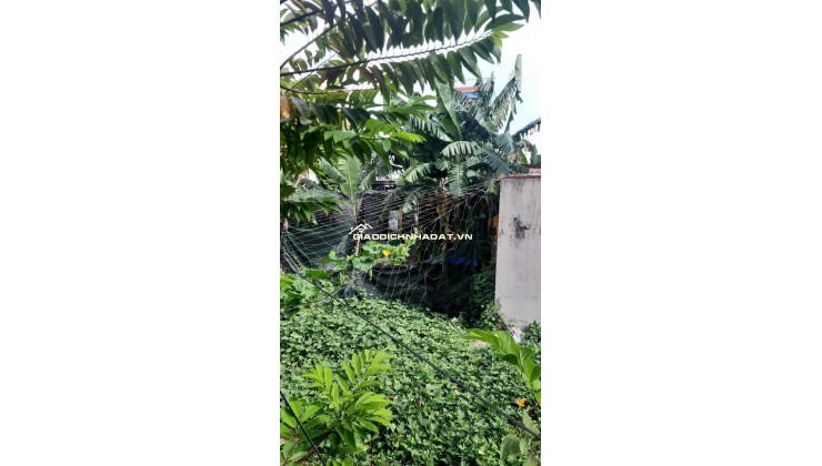 BÁN 236.1M2 ĐẤT TẠI TP VŨNG TÀU, SHR CHỈ 6.1 TỶ. LH: 0969619222.