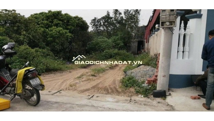 Chính chủ cần bán nhanh lô đất Tiên Tiến, Phù Cừ, Hưng Yên