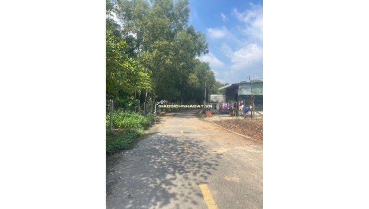 BÁN ĐẤT TẠI HOÀ LỢI 110M2 SỔ SẴN GIÁ 1.450.000.000. LH:0399935999.