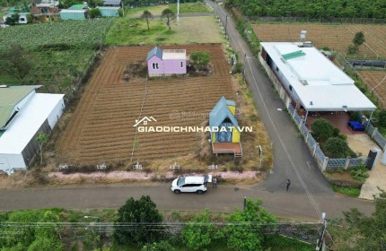 BÁN LÔ ĐẤT PHƯỜNG 2 BẢO LỘC GẦN NGÃ NĂM ĐAMBRI (NHÁNH KHÚC THỪA DỤ)