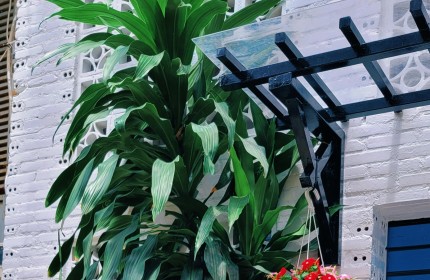 Cực Hot! Nhà Đẹp 1 Trệt 1 Lầu – Hẻm 4m Nguyễn Hữu Tiến, Tân Phú – Giá Tốt Nhất Khu Vực!