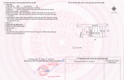 Vị trí vàng, tâm điểm kết nối tinh hoa - 2 lô đất nền view đồi biệt thự mặt tiền đường Lý Thái Tổ (28m) nối dài – Gần cao tốc Dầu Giây – Liên Khương