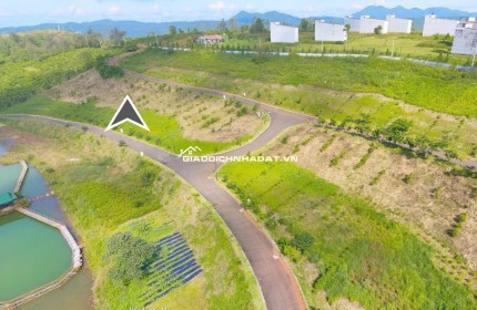 Sở hữu ngay đất biệt thự đồi Bảo Lộc 128,4m² chỉ 1,2 tỷ – View hồ, khí hậu mát lành, sổ riêng từng nền