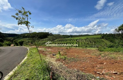 BÁN LÔ ĐẤT NỀN KHU NGHỈ DƯỠNG P2 BẢO LỘC, CÁCH NGÃ 5 ĐAMBRI  6 PHÚT ĐI XE