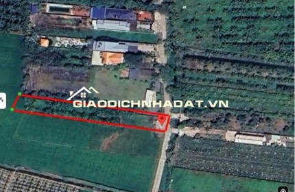 Chính chủ bán đất 1030m2 giá 7,2 tỷ, tp. Tân An, Long An