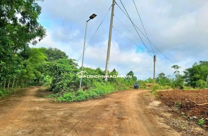 SIÊU RẺ – BÁN LÔ ĐẤT SÀO GIÁ CHỈ 290 TRIỆU- HỚN QUẢN - BÌNH PHƯỚC