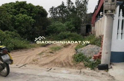 Chính chủ cần bán nhanh lô đất Tiên Tiến, Phù Cừ, Hưng Yên
