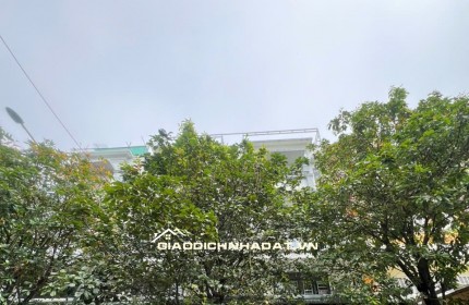 BÁN NHÀ TRỌ KDC BẾN LỨC (CHỢ BÌNH ĐIỀN) 240M2 SHR 25TỶ. LH:0866977572.