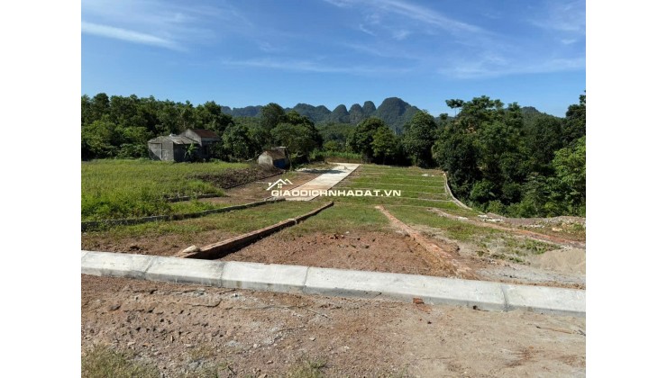 Bán đất rẻ trục đường Tây Bắc 107m - 490tr tại Ba Hàng Đồi, Lạc Thủy, Hòa BÌnh