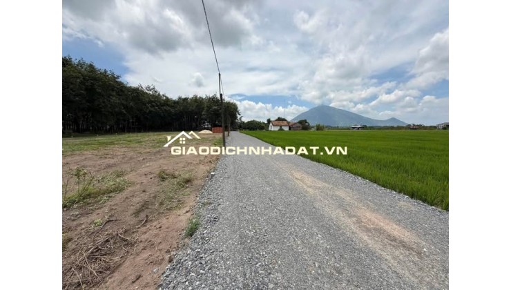 Cơ Hội Sinh Lời Từ Đất Nền Dương Minh Châu – Tây Ninh