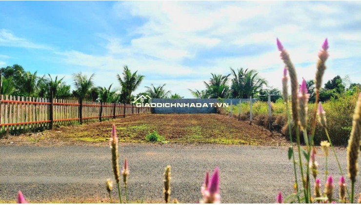 Kẹt tiền Chính Chủ bán gấp đất Xuyên Mộc giá rẻ 344m² Gần Cao Tốc, Giá 2,2 Tỷ Sổ hồng ngay