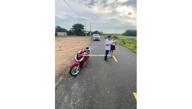 12 lô F0 mới ra lò cho nhà đầu tư